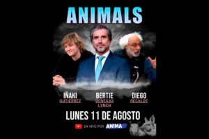 anima bertie diego recalde benegas lynch
